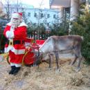 Santa Claus (Galeria Sfera)