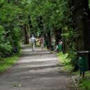 Bielsko-Biała, Park Włókniarzy 3