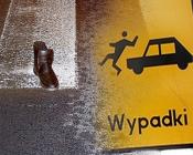 Poszukujemy świadków wypdków drogowych
