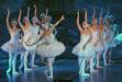 Royal Russian Ballet - Jezioro łabędzie, Dom Muzyki w Bielsku-Białej 